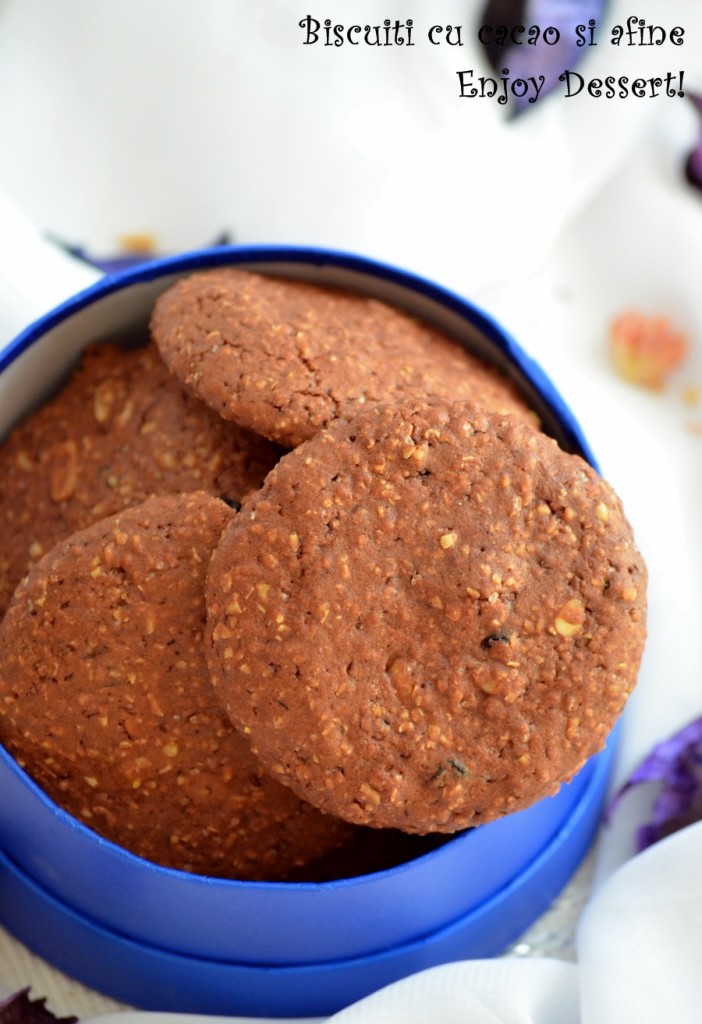 Biscuiti cu cacao, afine uscate si seminte de pin