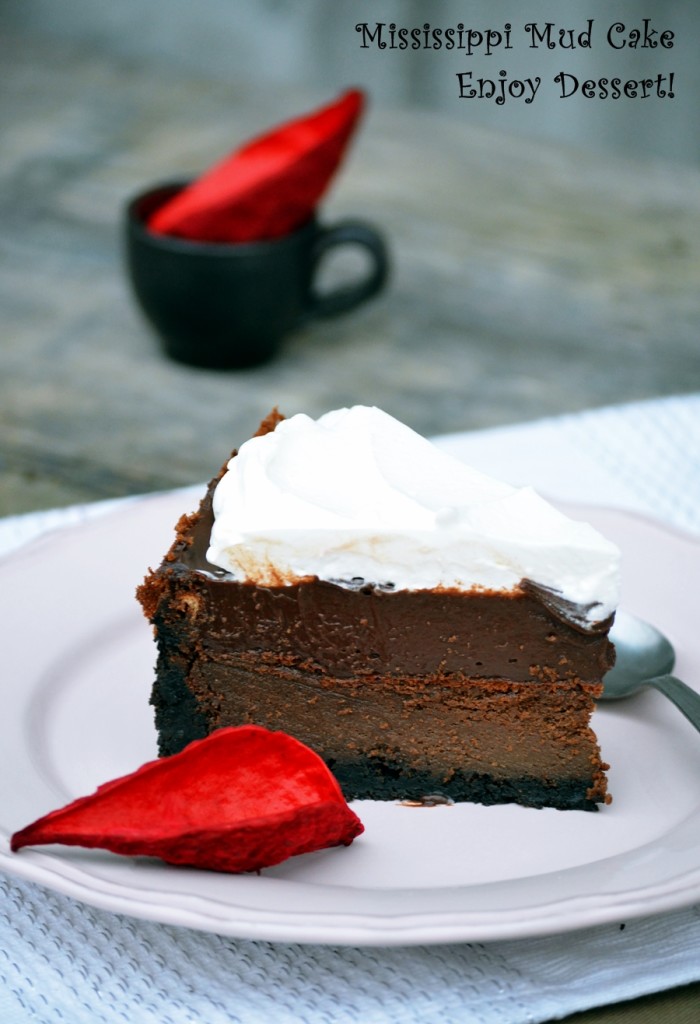 Mississippi Mud Cake – Prajitura umeda cu ciocolata