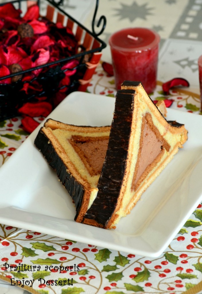 Prajitura acoperis – cabana