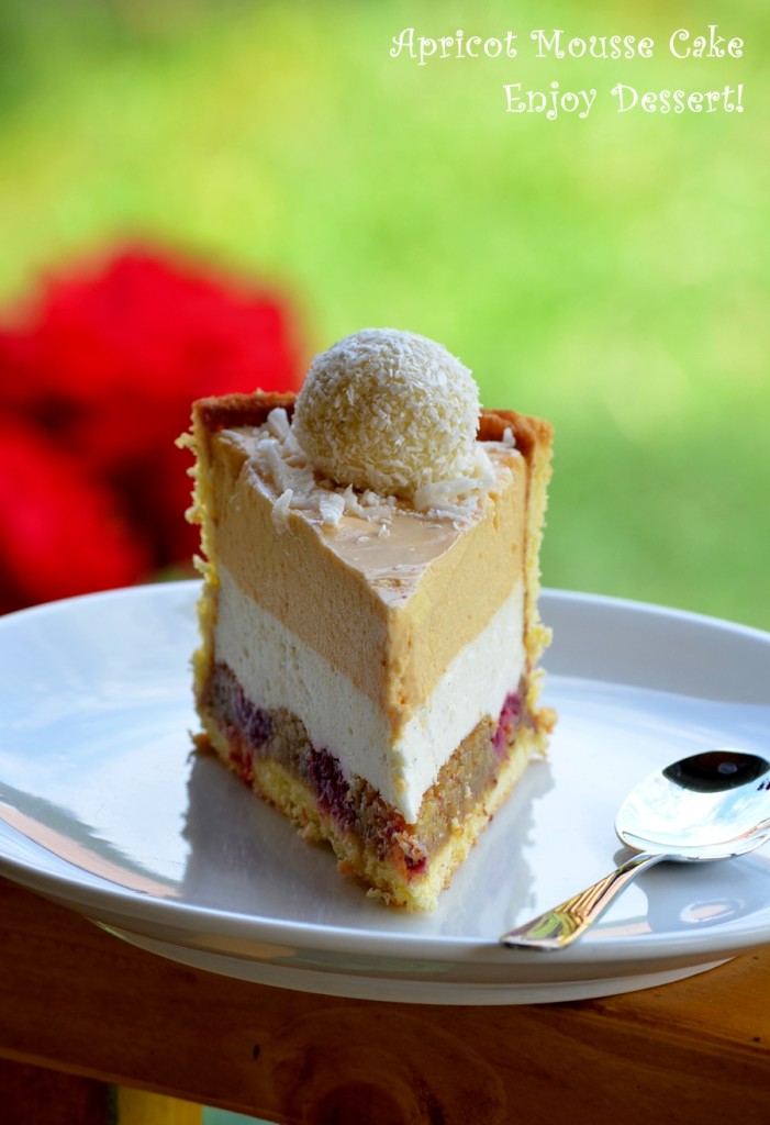 Tort cu mousse de caise, mousse de ciocolata alba si vanilie