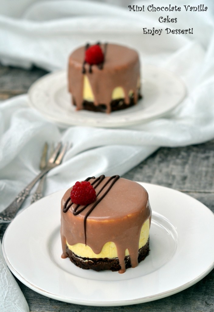 Torturi cu mousse de vanilie si crema de zmeura